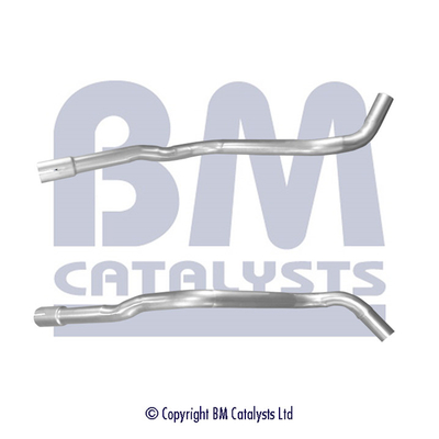 Bm Catalysts Uitlaatpijp BM50579