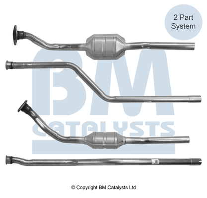 Bm Catalysts Katalysator BM80087H