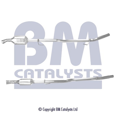 Bm Catalysts Katalysator BM80089H