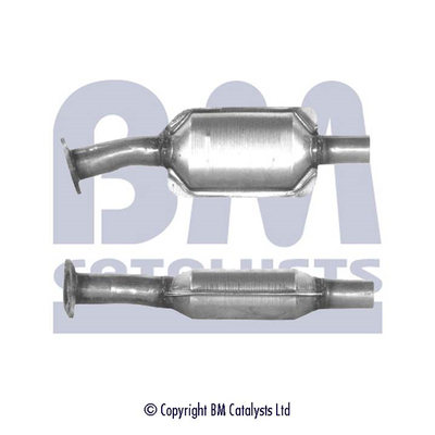 Bm Catalysts Katalysator BM80109H