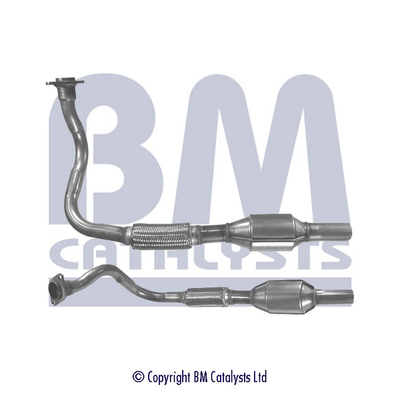 Bm Catalysts Katalysator BM80115H