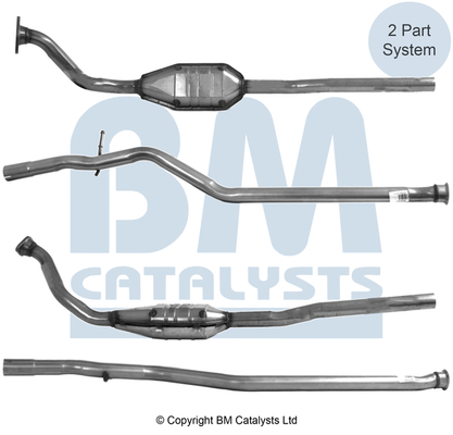 Bm Catalysts Katalysator BM80131H