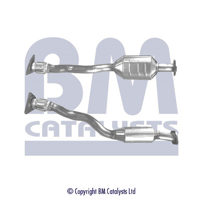 Bm Catalysts Katalysator BM80133H