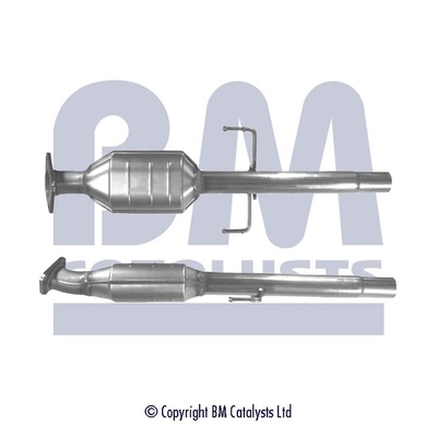 Bm Catalysts Katalysator BM80138H