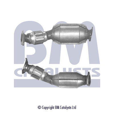 Bm Catalysts Katalysator BM80139H