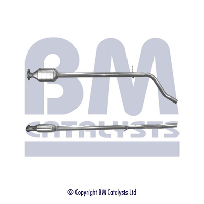 Bm Catalysts Katalysator BM80146H