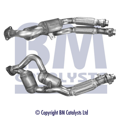 Bm Catalysts Katalysator BM80161H