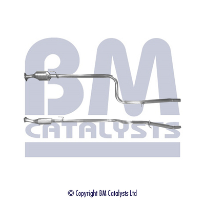 Bm Catalysts Katalysator BM80195H