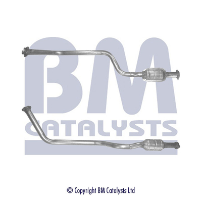 Bm Catalysts Katalysator BM80225H