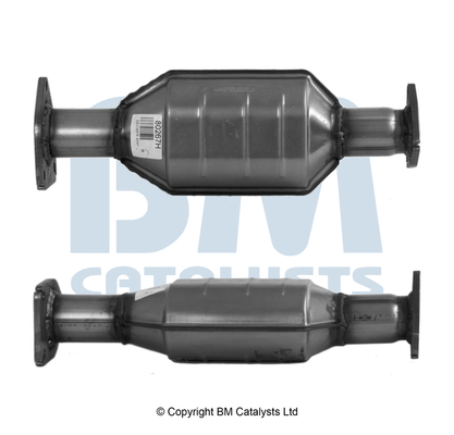 Bm Catalysts Katalysator BM80267H