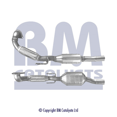 Bm Catalysts Katalysator BM80290H