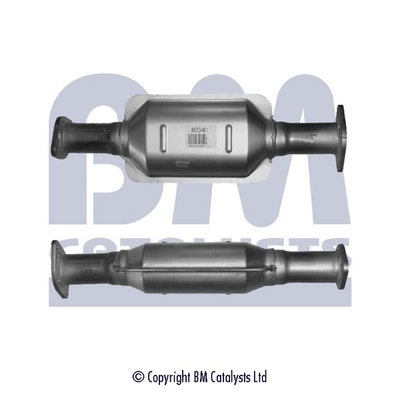 Bm Catalysts Katalysator BM80340H