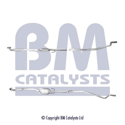 Bm Catalysts Katalysator BM80531H