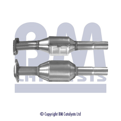 Bm Catalysts Katalysator BM90074H