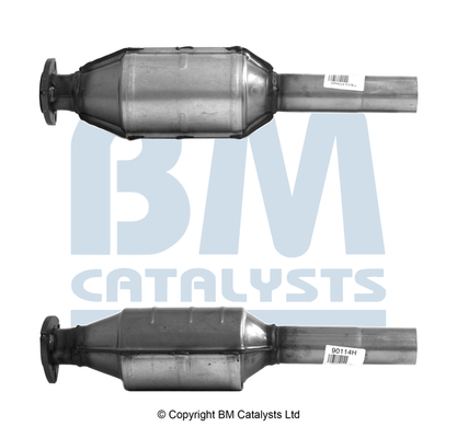 Bm Catalysts Katalysator BM90114H