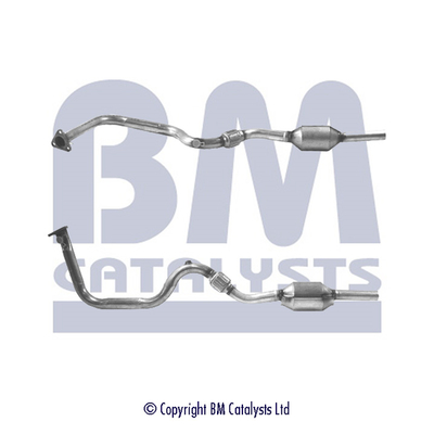 Bm Catalysts Katalysator BM90177H