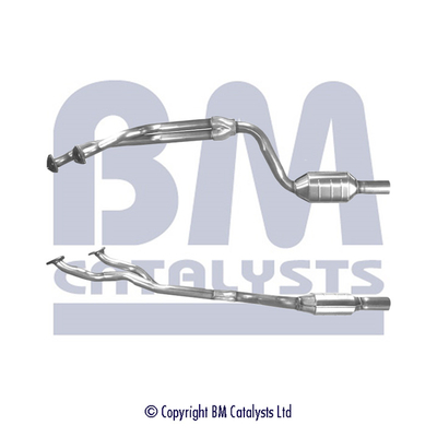Bm Catalysts Katalysator BM90233H
