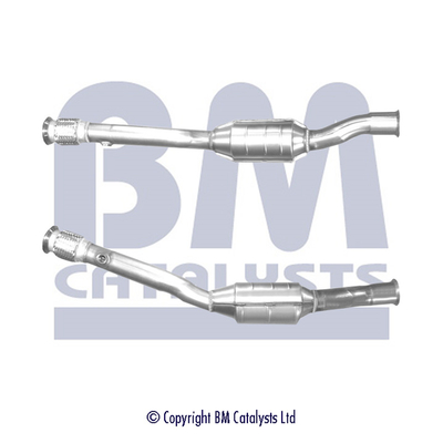 Bm Catalysts Katalysator BM90493H