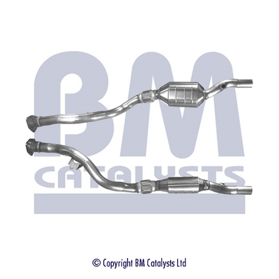 Bm Catalysts Katalysator BM90689H