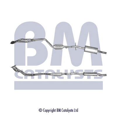 Bm Catalysts Katalysator BM90817H