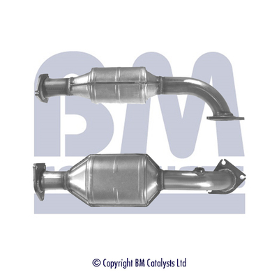 Bm Catalysts Katalysator BM90967H