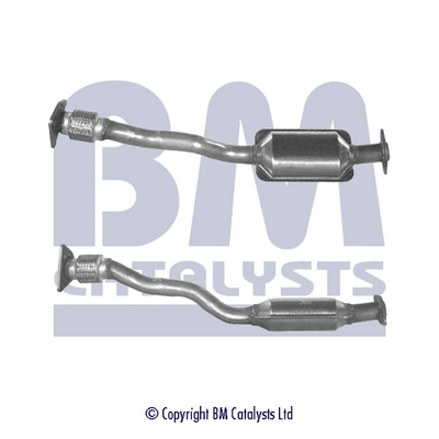 Bm Catalysts Katalysator BM90989H