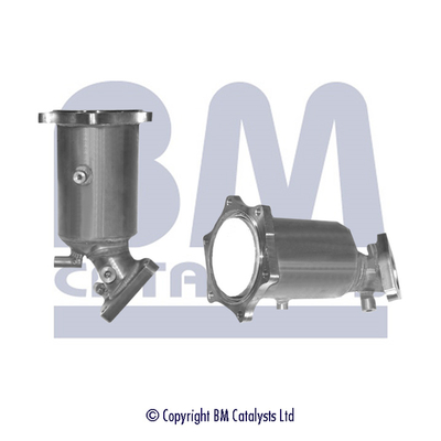 Bm Catalysts Katalysator BM91068H