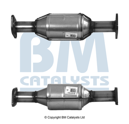 Bm Catalysts Katalysator BM91072H