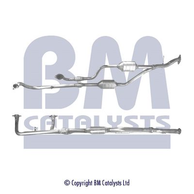 Bm Catalysts Katalysator BM91087H