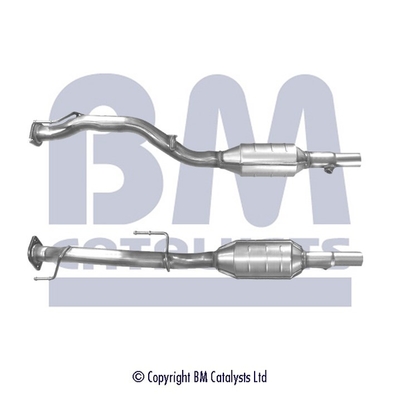 Bm Catalysts Katalysator BM91176H