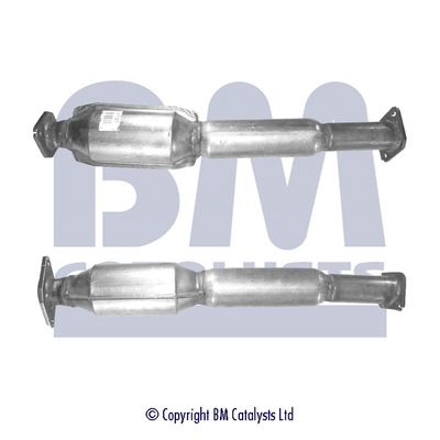 Bm Catalysts Katalysator BM91197H