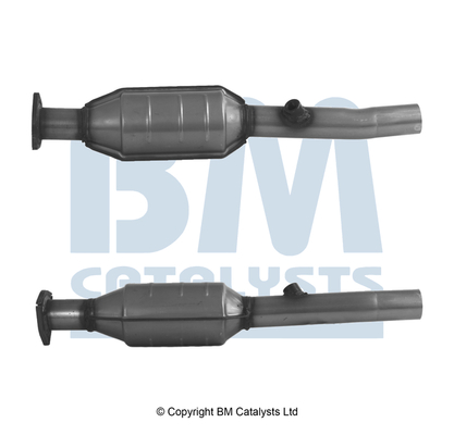 Bm Catalysts Katalysator BM91248H