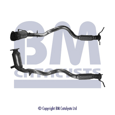 Bm Catalysts Katalysator BM91377H