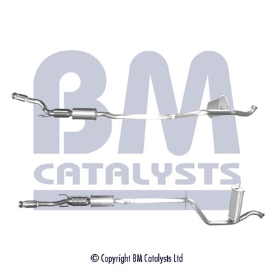 Bm Catalysts Katalysator BM91674H