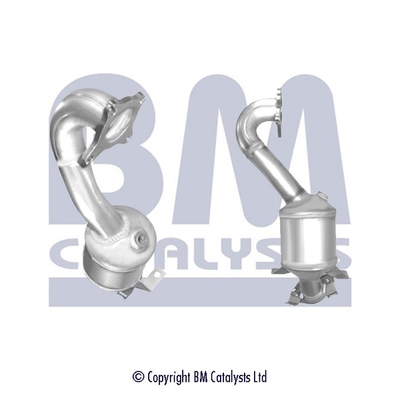 Bm Catalysts Katalysator BM91685H
