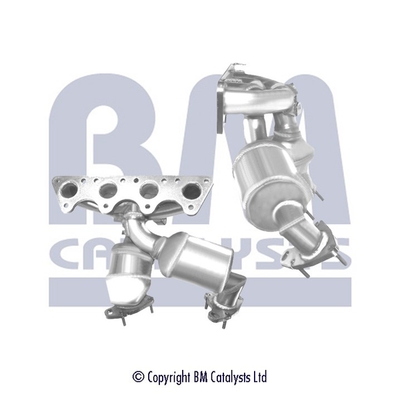 Bm Catalysts Katalysator BM91765H