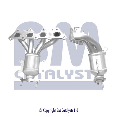 Bm Catalysts Katalysator BM91770H