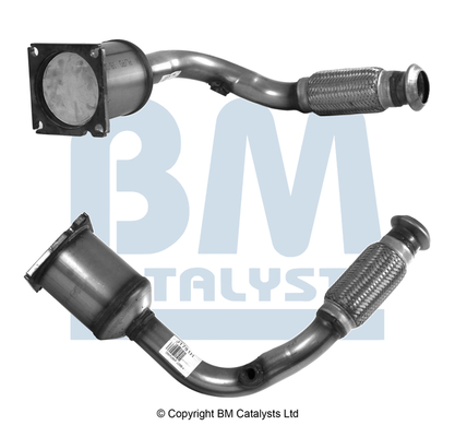 Bm Catalysts Katalysator BM91781H