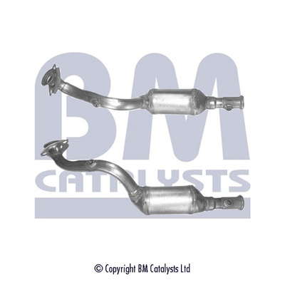 Bm Catalysts Katalysator BM91924H