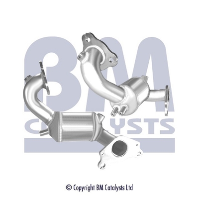Bm Catalysts Katalysator BM91974H