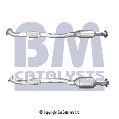 Bm Catalysts Katalysator BM91979H