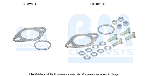 Bm Catalysts Uitlaat montageset FK50265