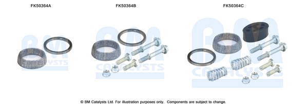 Bm Catalysts Uitlaat montageset FK50364