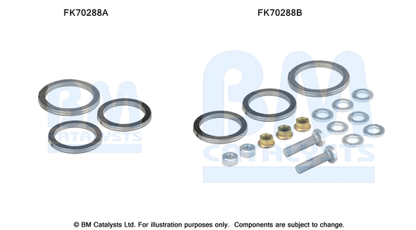 Bm Catalysts Uitlaat montageset FK70288