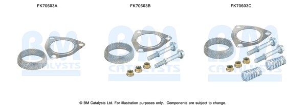 Bm Catalysts Uitlaat montageset FK70603