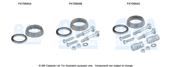 Bm Catalysts Uitlaat montageset FK70664