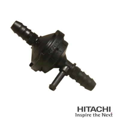 Hitachi Terugslagklep 2509313