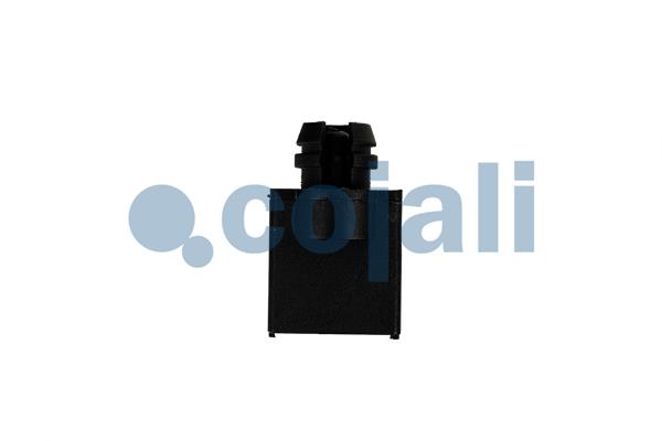 Cojali Buitentemperatuur sensor 2260850