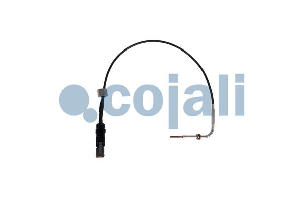 Cojali Sensor uitlaatgastemperatuur 2260907