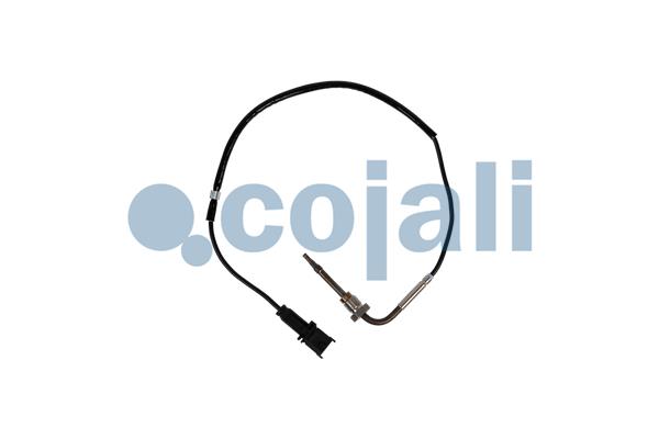 Cojali Sensor uitlaatgastemperatuur 2262016